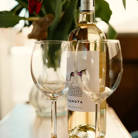 Unique Houseboat Center 'greuns' Botel *